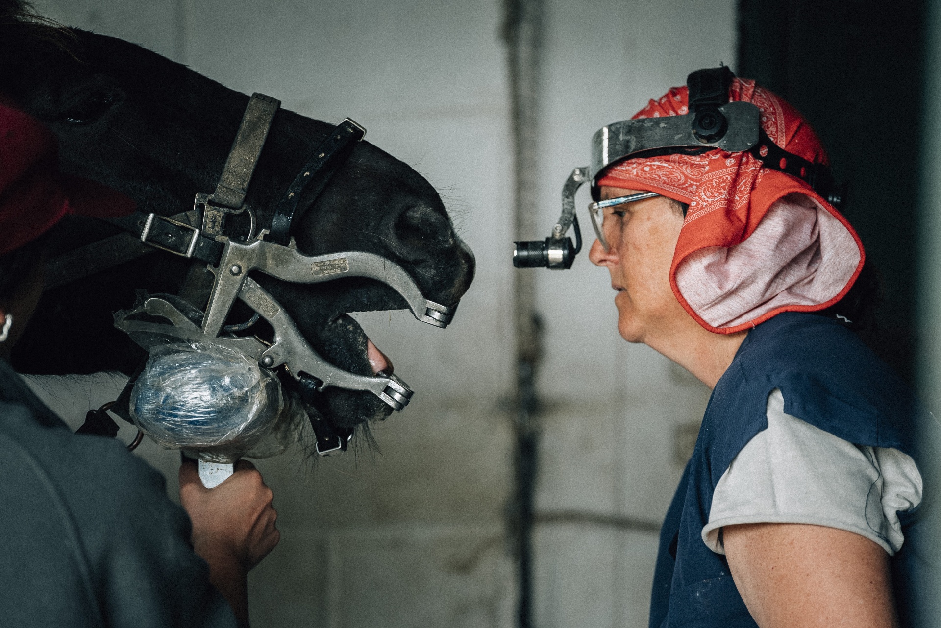 Exame odontológico — foco e cuidado