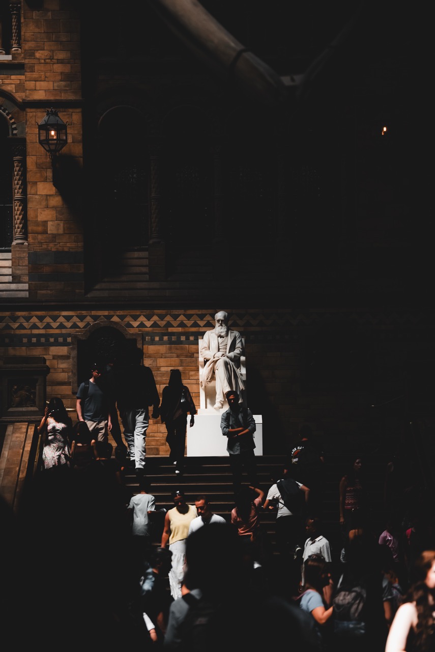 Estátua de Darwin sob a luz da escada
